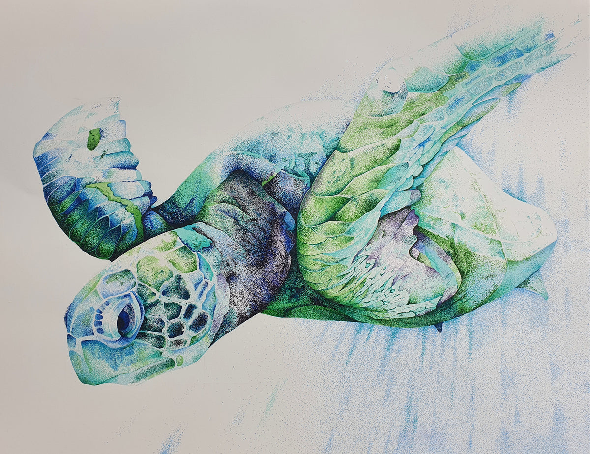 Turtle